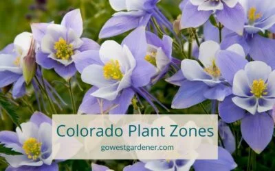What Plant Hardiness Zone Is Colorado?