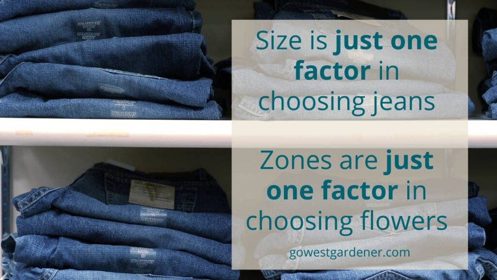 Size is one factor in choosing jeans, just like plant hardiness zones are only one factor in choosing plants
