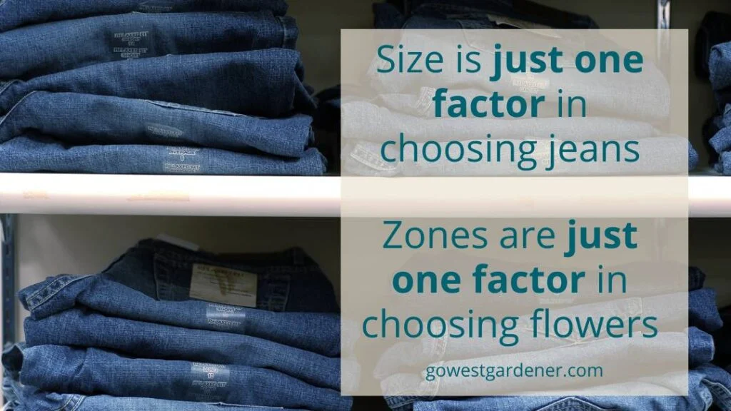Size is one factor in choosing jeans, just like plant hardiness zones are only one factor in choosing plants