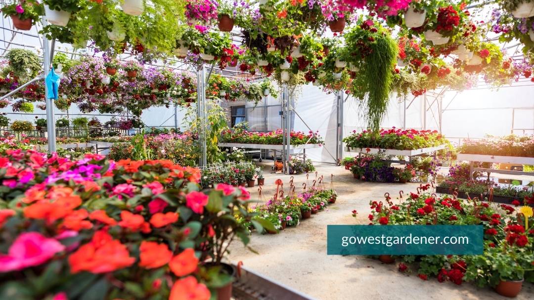 The annuals are also usually in a greenhouse or covered.
