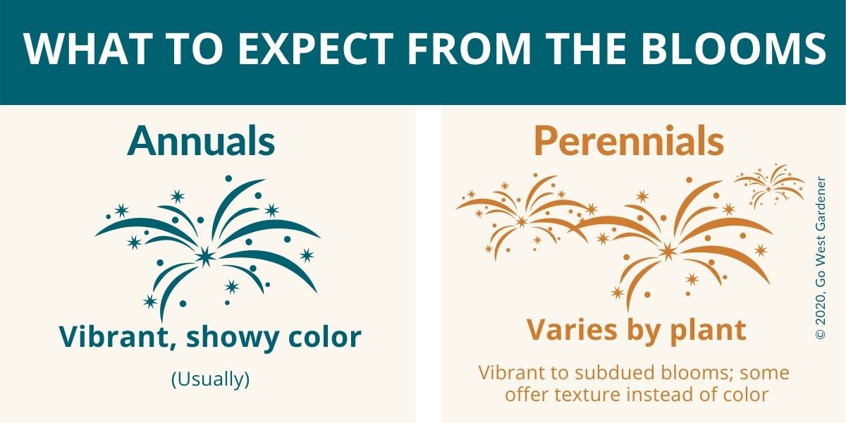 What to expect from the blooms of annuals and perennials