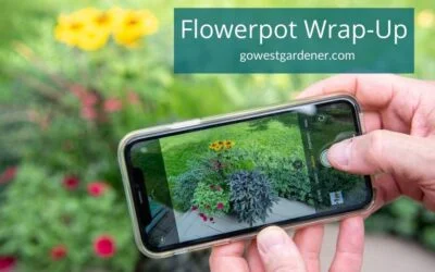 What to Do BEFORE You Empty Your Flowerpots