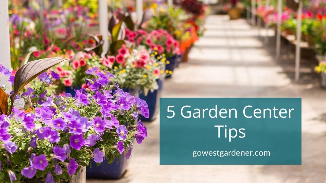 Tips to shop smarter at your local garden center in Colorado