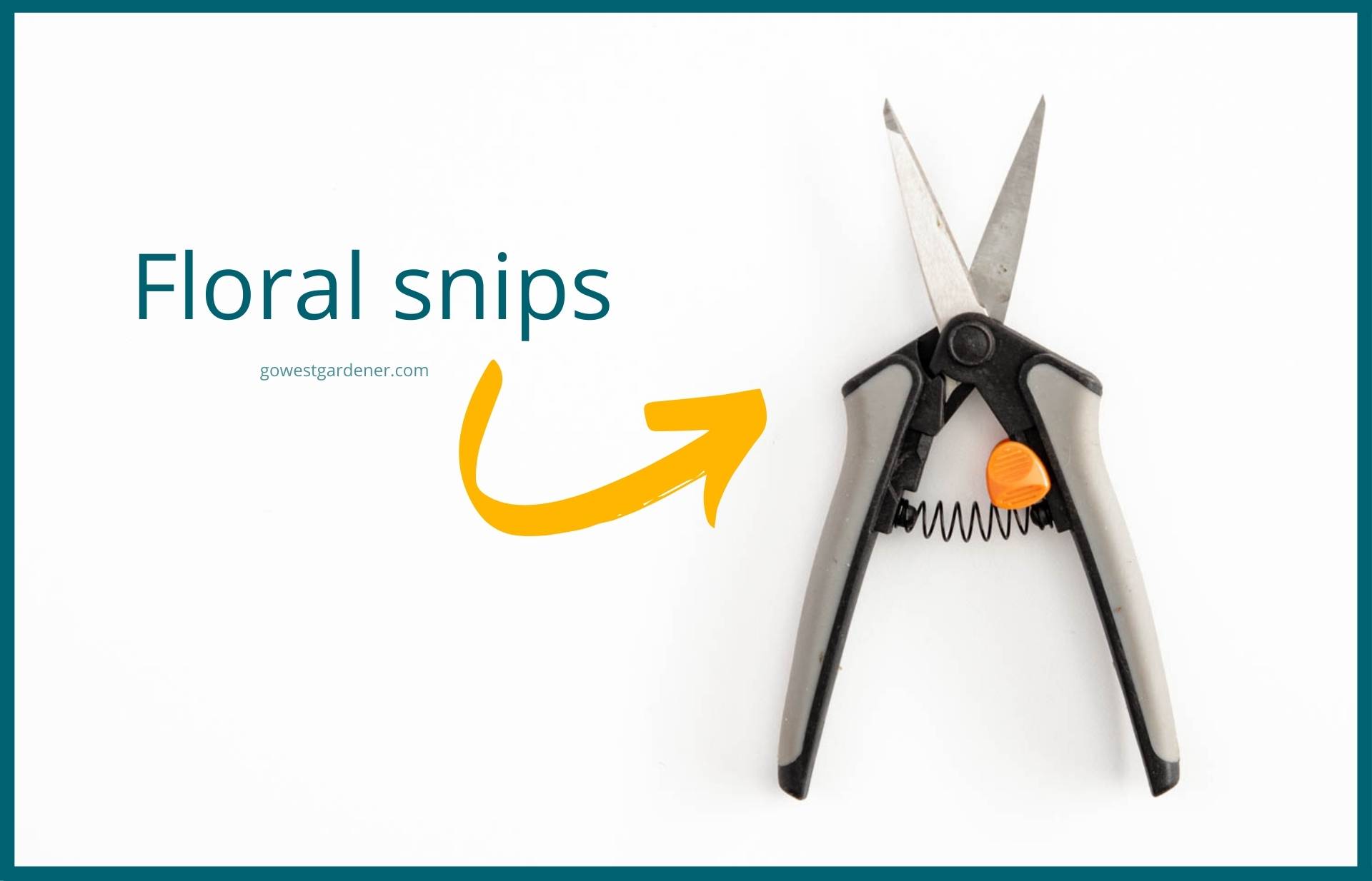 This is what floral snips look like for trimming dead blooms off flowers, known as deadheading