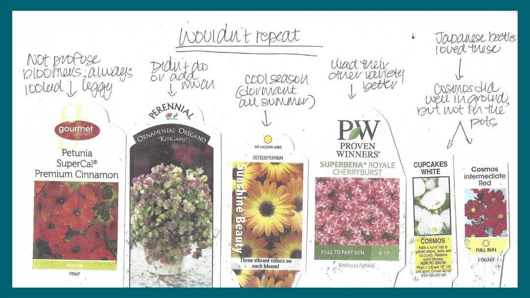 What container garden notes look like for flowers you wouldn't repeat