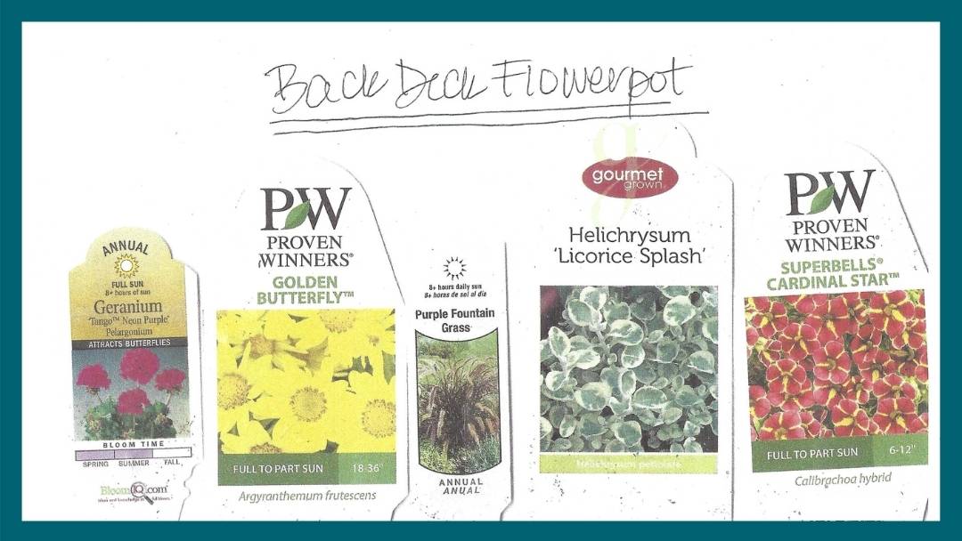 Container garden tags organized by flowerpot for easy reference