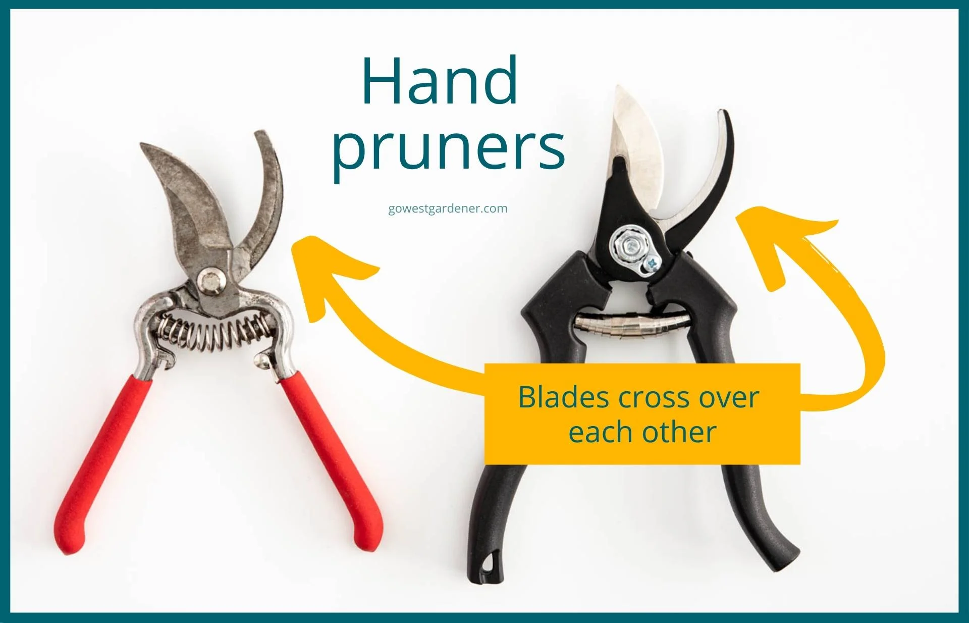 This is what hand pruners look like -- the blades cross over each other, rather than meeting in the middle