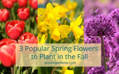 Popular Spring Flowers for Western Gardens… You Plant in the Fall