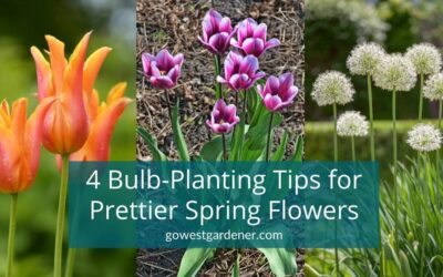 4 Tips to Make Your Spring Flowers Look Prettier: Spring Bulb Garden Design!