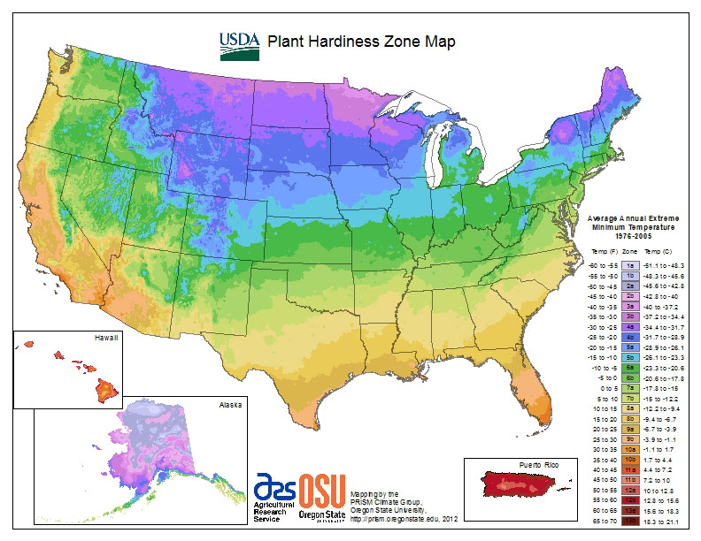 USDA Plant Hardiness Zone Map for United States
