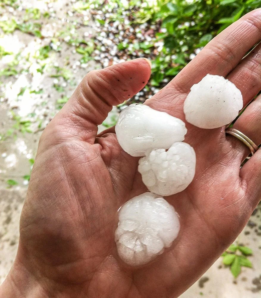hand-holding-hail-2