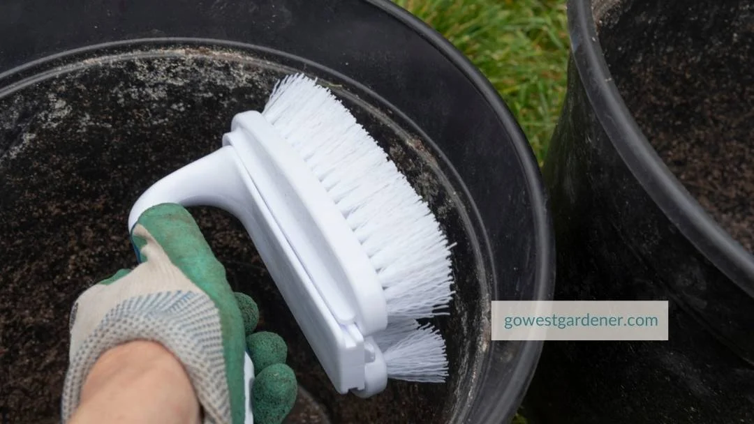 Brush the insides of your flower pots with a soft brush