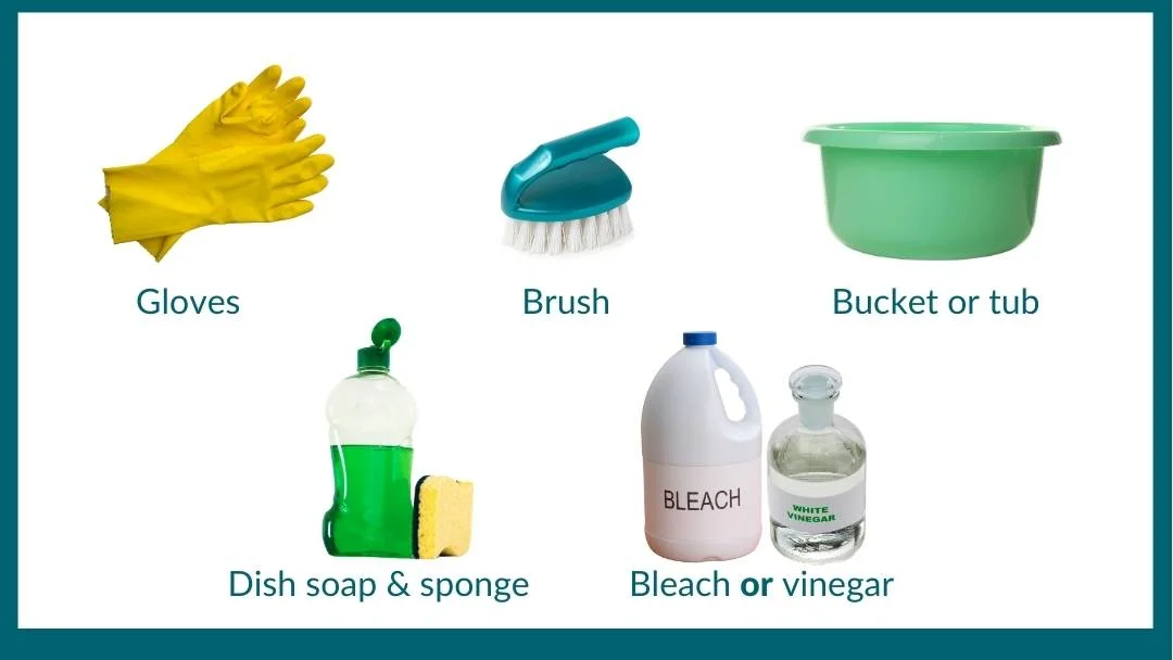 Supplies needed to sterilize flowerpots: gloves, a brush, a bucket, a dish soap and sponge and bleach or vinegar.