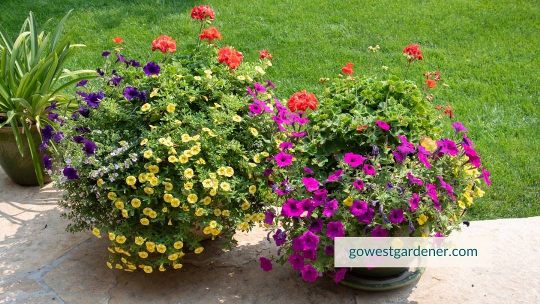 Planting flowers reduces stress and makes you feel better.