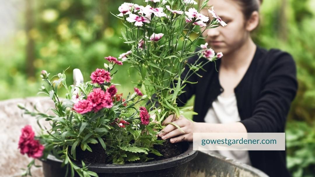 You can involve in your kids in planting flower pots.