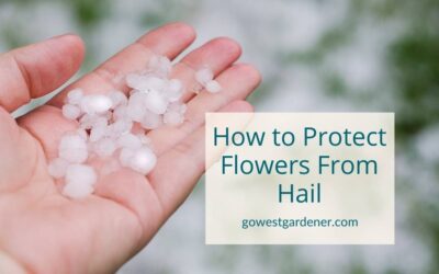 How to Protect Flowers From Hail Damage