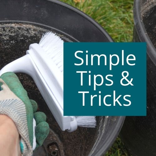 Simple-gardening-tips-tricks Simple gardening tips and tricks for new and budding gardeners