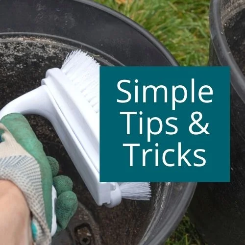 Simple gardening tips and tricks for new and budding gardeners