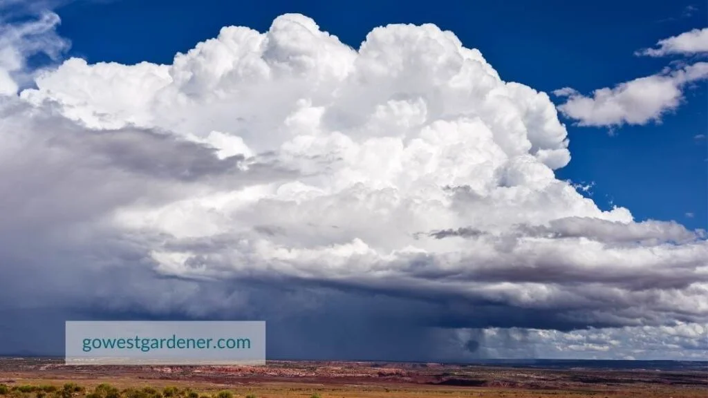 Thunderstorm clouds with hail often start out as tall, white, fluffy clouds that resemble cauliflower heads.