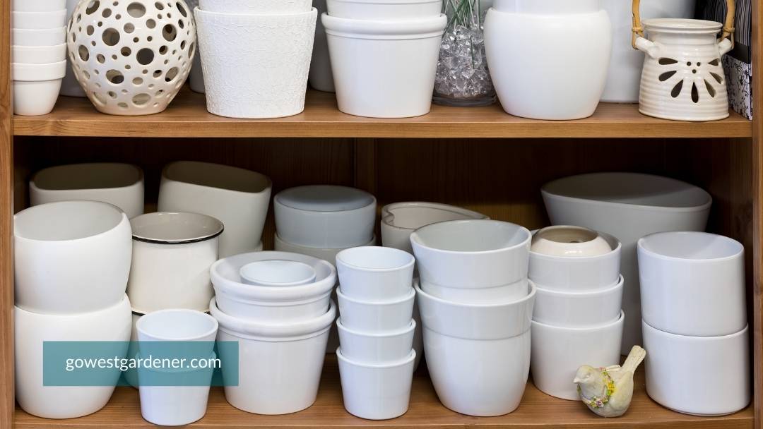 Tiny flower pots are usually not good for outdoor flowers. There isn't enough room for root growth.