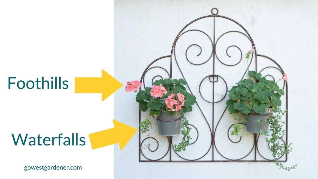 You don't need thrillers, fillers and spillers in pots. It's okay to include just two of these design ideas.