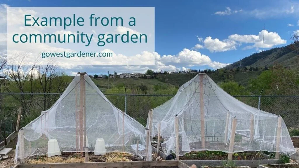 Example of hail netting over a vegetable garden and a flower garden at a community garden