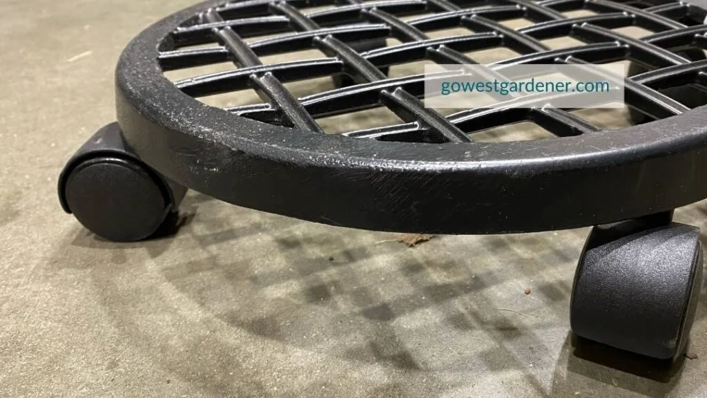 To protect flowers from hail, a plant caddy can help you roll your flower pots under cover.