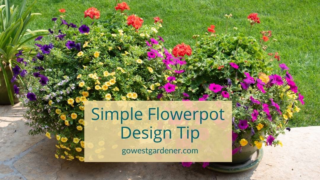 A simple flowerpot design tip to make your flowerpots look pretty