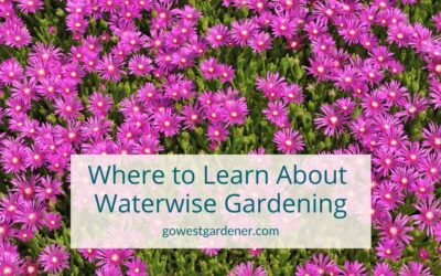 “Where Can I Learn About Plants for Waterwise Flower Gardening?”