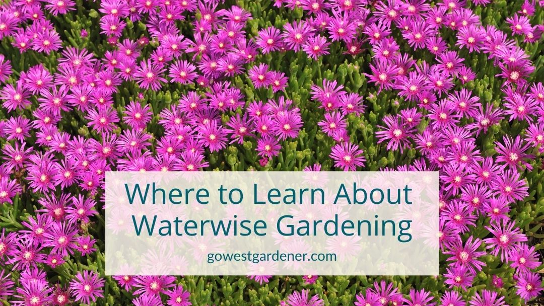 “Where Can I Learn About Plants for Waterwise Flower Gardening?”