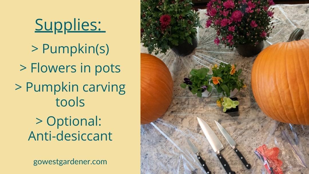 What you need to make a pumpkin planter: supply list of pumpkins, flowers in pots, pumpkin carving tools, and anti-desiccant