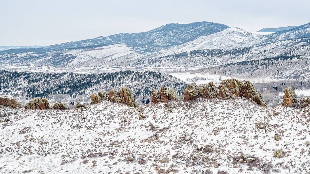 Winters in states like Colorado and Wyoming are tough on perennial flower plants.