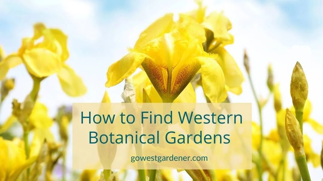 Western-Botanical-Gardens How to find a local botanical garden in Colorado, Utah and the intermountain west