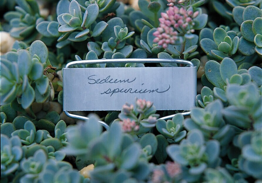 Plant markers come in handy for remembering plant names and for remembering whether flowers are planted. Add the to your gift list!