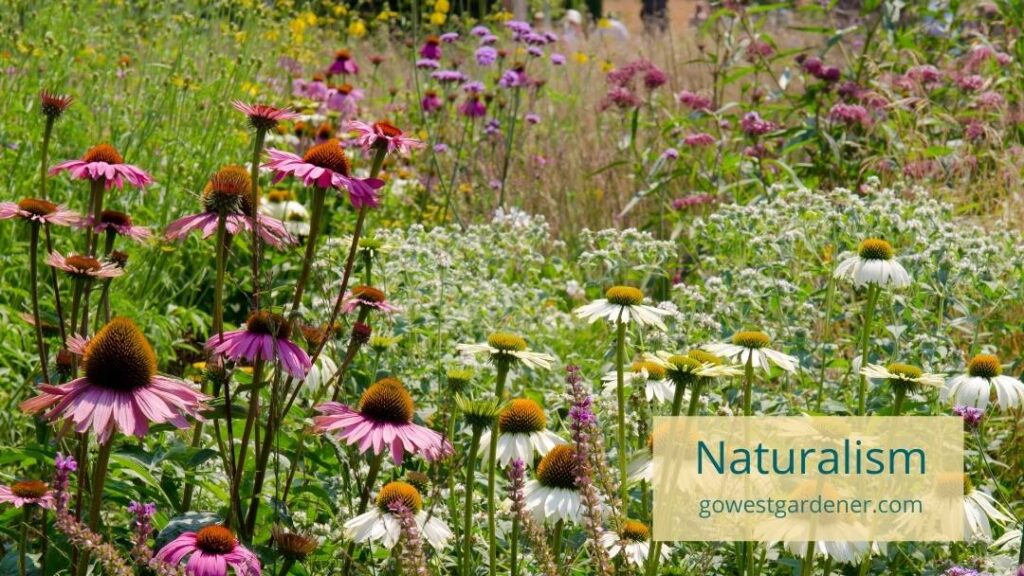 Naturalism is one of several garden trends in Colorado and similar western states.