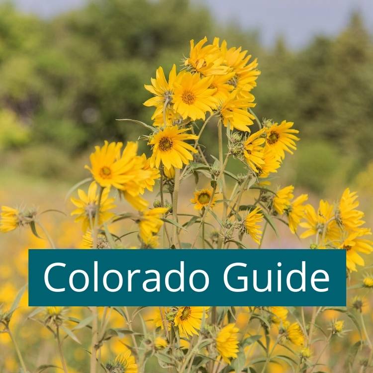Colorado-Guide Colorado gardening guide