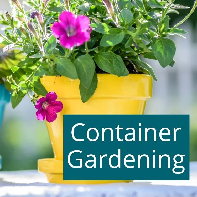 Western container gardening with flowers