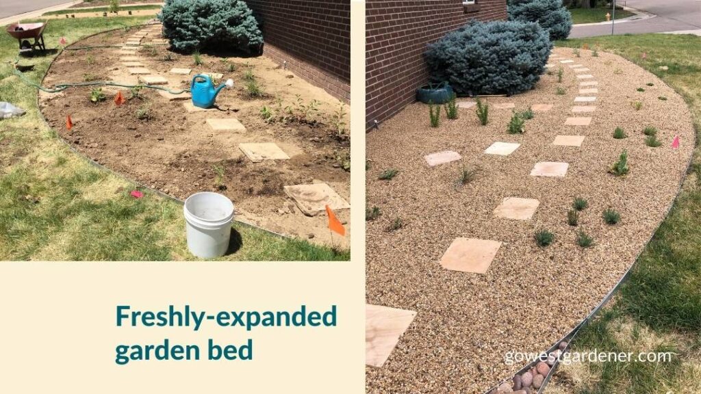 Newly planted pollinator garden in Colorado