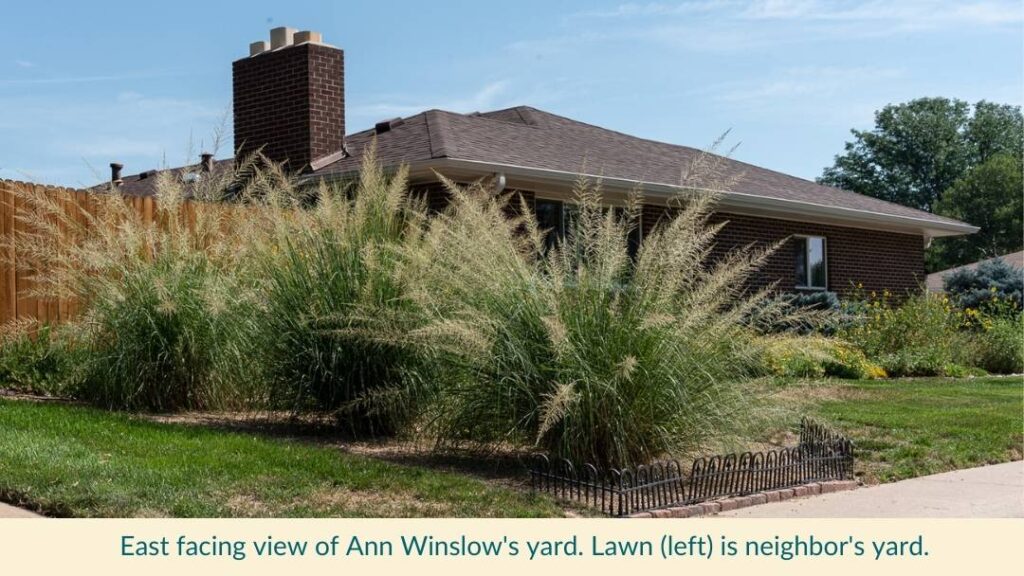 Tip! Think about how your neighbors' irrigation and sprinklers affect your waterwise garden in Colorado.
