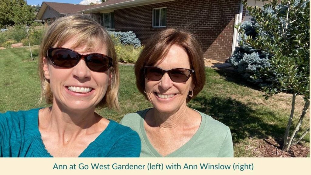 A native plant gardener in Colorado