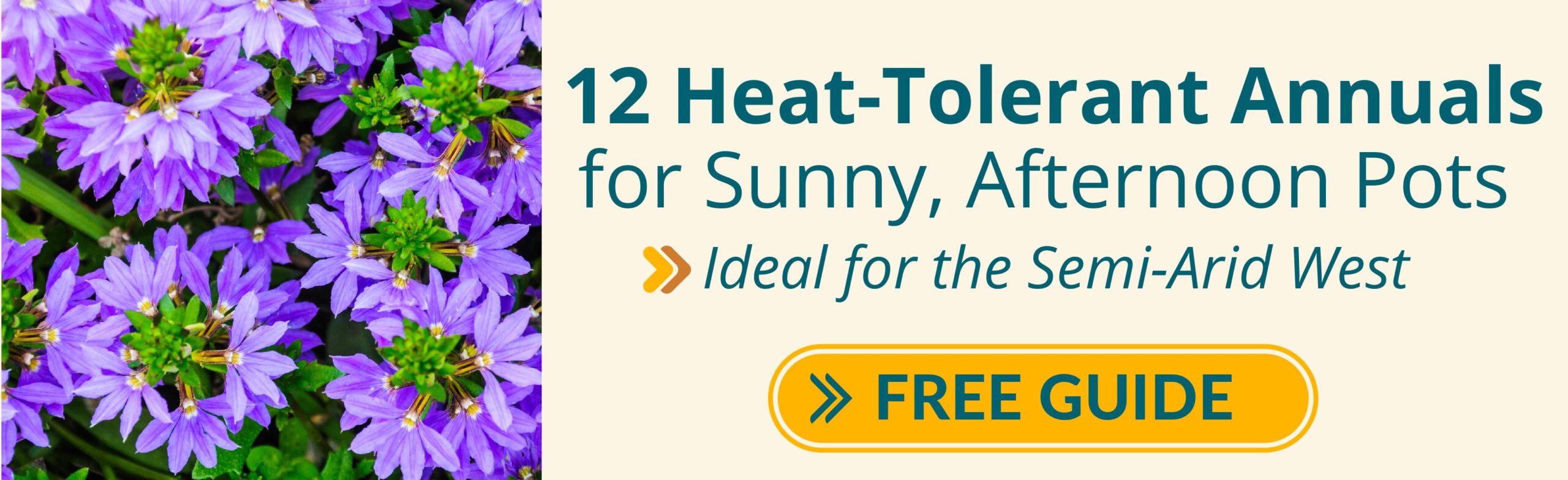 Heat tolerant annuals for the semi-arid west