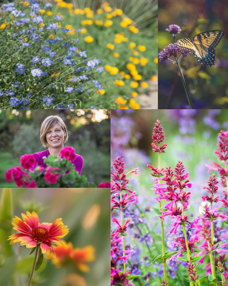 Go-West-Gardener-flower-tips-1 Go West Gardener flower tips