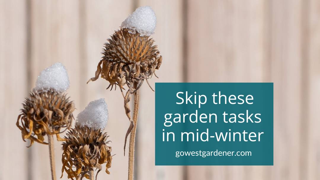 What not to do in your garden in February in Colorado