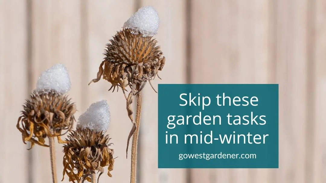 What NOT to Do in Your Western Garden in February