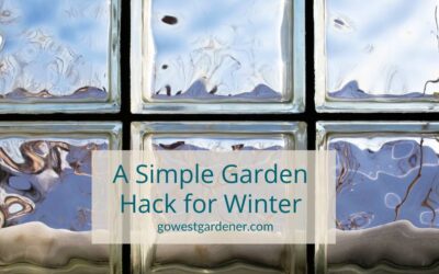 A Simple Hack for a Beautiful Western Garden (to Do in Winter)