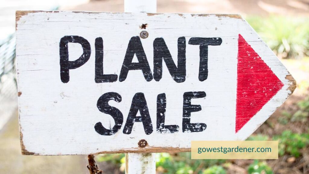 You can find Colorado native plants and seeds at sales and plant swaps with local non-profits.