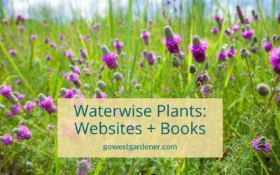 Where to Learn About Waterwise Plants for Colorado, Utah & Similar Western States