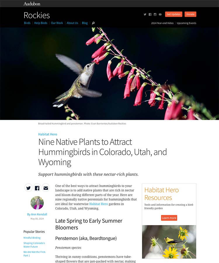 Nine Native Plants to Attract Hummingbirds in Colorado, Utah and Wyoming