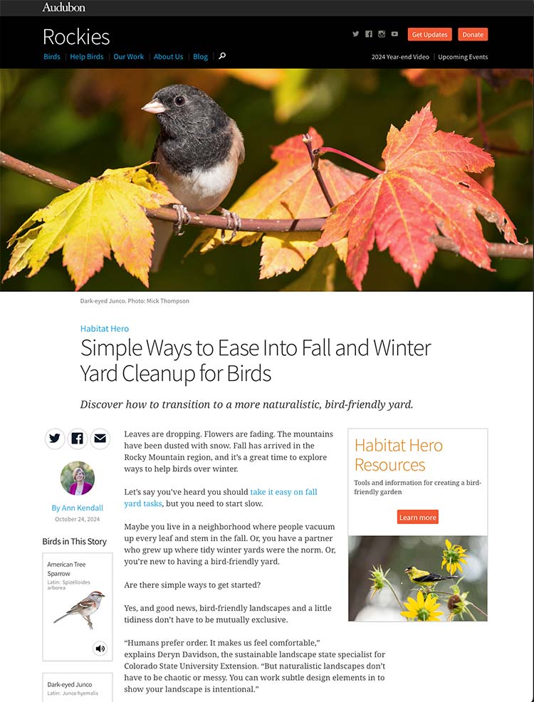 Simple Ways to Ease Into Fall and Winter Yard Clean-up for Birds