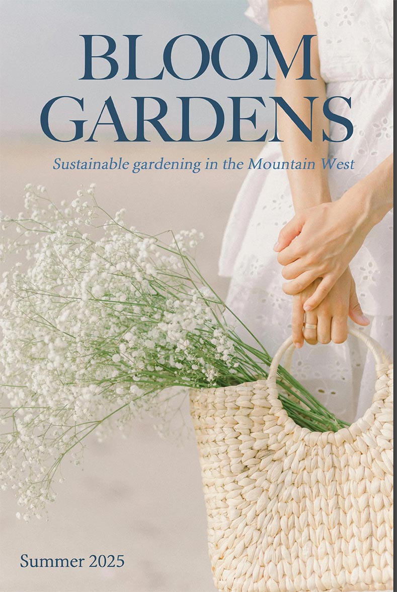 Bloom Gardens magazine article: Get to know our Rocky Mountain hummingbirds